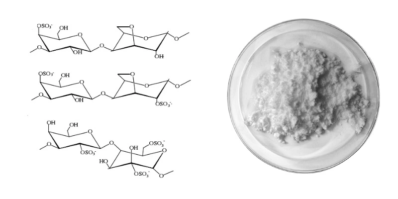 Carrageenan Factory.jpg